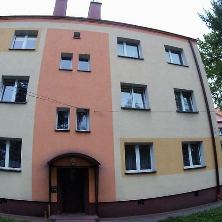 Appartement Studio Skarzyko Kamienna à Skarżysko-Kamienna Extérieur photo